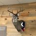 Scott McRee - Facebook