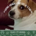 Scott Mcshane - @scott.mcshane.71 - Instagram