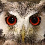 Scott mctaggart - @mctaggart6899 - Instagram