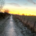 Scott Mcvicar - @scott.mcvicar45 - Instagram