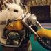 Scott Meddaugh - Facebook