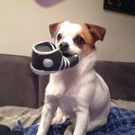 Scott Meech - @dollysaoirse14 - Instagram