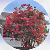 Scott Melrose - @scott_melrose - TikTok