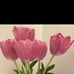 Scott Melrose - Facebook