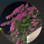 @scott_melrose_ - Instagram