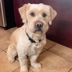 @scott_menard_ - Instagram