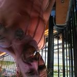 Debra Ann-marie Meneely - @mcdonaldscott258 - Instagram