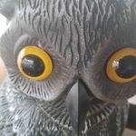 Scott Merchant - @smerchant1987 - Instagram