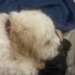 Scott Merkel - @scooter_12208 - Instagram