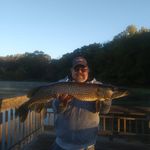 Scott Messenger - @s.messenger612 - Instagram