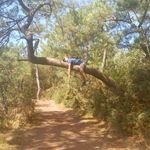 Scott Messenger - @scottmessenger3 - Instagram