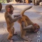 Scott Micallef - @scott_micallef_20 - Instagram