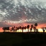 Scott Milam - @pscottmilam - Instagram