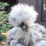 Scott Milburn - @scott.b.milburn - Instagram
