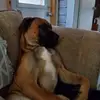 Scott Millen - @scott.millen4 - TikTok