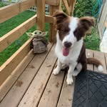 scott bradley misener - @scottman55555 - Instagram