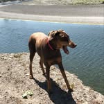 Scott Misener - @scott.misener - Instagram