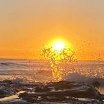 Scott Molenaar - @scottmolenaar - Instagram