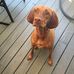 Scott Molitor - Facebook