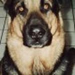 Scott Moller - @romo8869 - Instagram