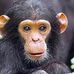 Scott Monfils - Facebook