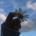 Maddison - @maddison_monse_scott - Instagram