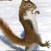 Scott Monsees - Facebook