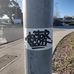 Scott Morehouse - Facebook