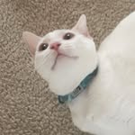 @scott._.morell - Instagram