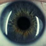 Scott Morel - @alien8ford - Instagram