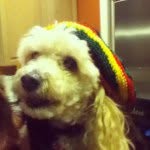 @scott_morelli - Instagram