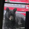 Scott.Morell - @scottmorel1829.2 - TikTok