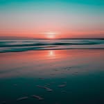 Scott Morison - @not_the_politician - Instagram