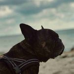 Scott Morrill - @morrill3493 - Instagram