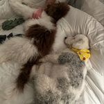 Scott Morrill - @scott.morrill.71 - Instagram