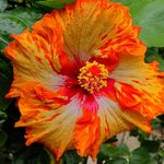 the asylum - @mosby.scott - Instagram
