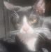 Mote Scott - Facebook