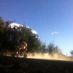 Scott Motley Lee - @motleyandtashtag - Instagram