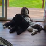 Scott Motter - @motterscott - Instagram