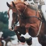 Scott Mowbray - @mowbys - Instagram