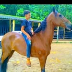 Arthur Francisco - @arthur_francisco_muniz_scott - Instagram