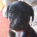 Scott_muniz - @scott_muniz_64 - Instagram