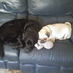 Scott Murrell - @scott.murrell.10485 - Instagram