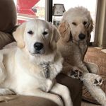 Scott Myrick - @myrick9545 - Instagram