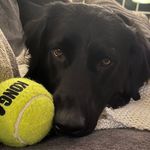 Scott Nance - @scott__nance - Instagram