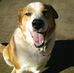Scott Nass - Facebook