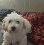 Scott Nearbin - Facebook