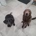 Scott Neeb - Facebook