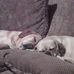 Scott Neuner - Facebook