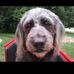Scott Niles - Facebook